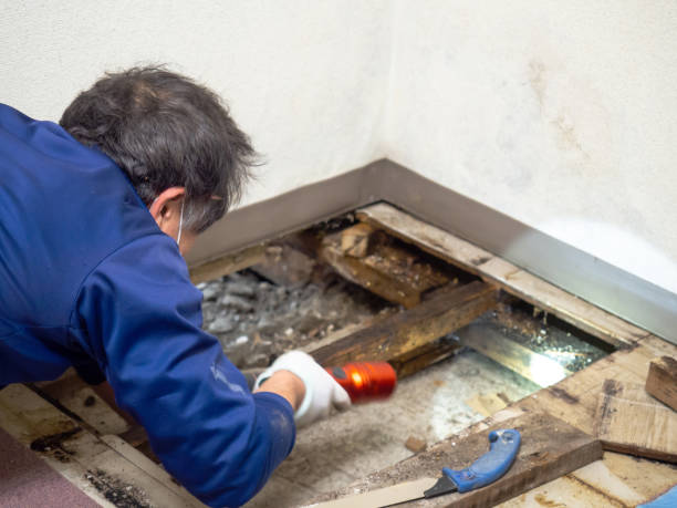 Best Mold Testing  in Sublimity, OR