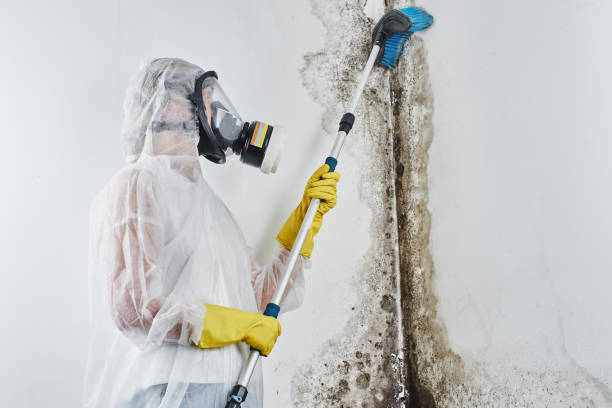 Best Certified Mold Removal  in Sublimity, OR