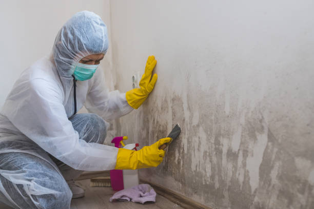Best Office Mold Removal Services  in Sublimity, OR
