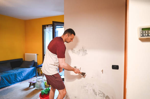 Best Home Mold Removal  in Sublimity, OR